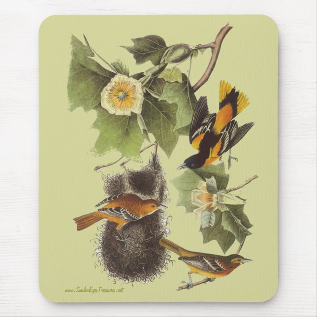 Vintage Audubon Birds Troupial Orioles Mousepad (Front)