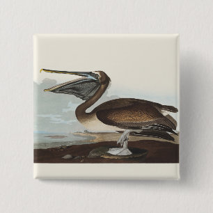 Vintage Audubon Brown Pelican Coastal Bird Art Button