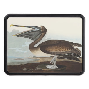 Vintage Audubon Brown Pelican Coastal Bird Art Hitch Cover