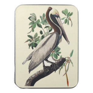 Vintage Audubon Brown Pelican Coastal Bird Art Jigsaw Puzzle
