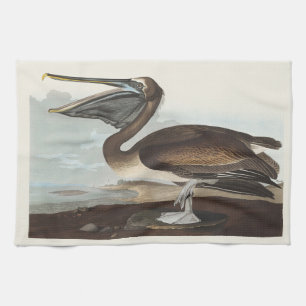 Vintage Audubon Brown Pelican Coastal Bird Art Kitchen Towel