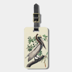 Vintage Audubon Brown Pelican Coastal Bird Art Luggage Tag