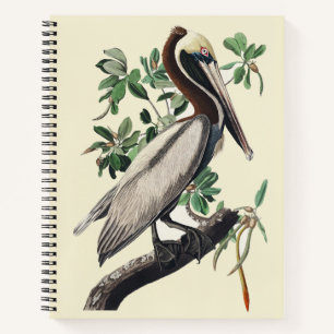Vintage Audubon Brown Pelican Coastal Bird Art Notebook