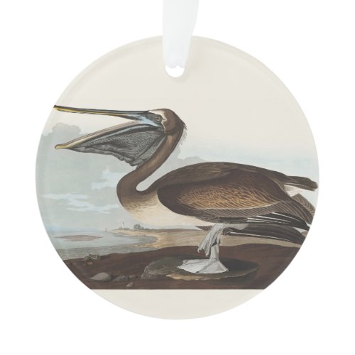 Vintage Audubon Brown Pelican Coastal Bird Art Ornament