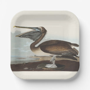 Vintage Audubon Brown Pelican Coastal Bird Art Paper Plates