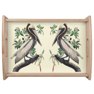 Vintage Audubon Brown Pelican Coastal Bird Art Serving Tray
