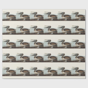 Vintage Audubon Brown Pelican Coastal Bird Art Wrapping Paper