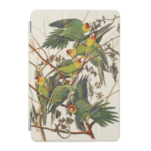 Vintage Audubon Carolina Parakeet Bird Art iPad Mini Cover