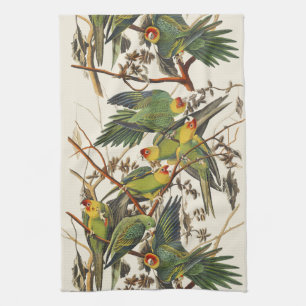 Vintage Audubon Carolina Parakeet Bird Art Kitchen Towel