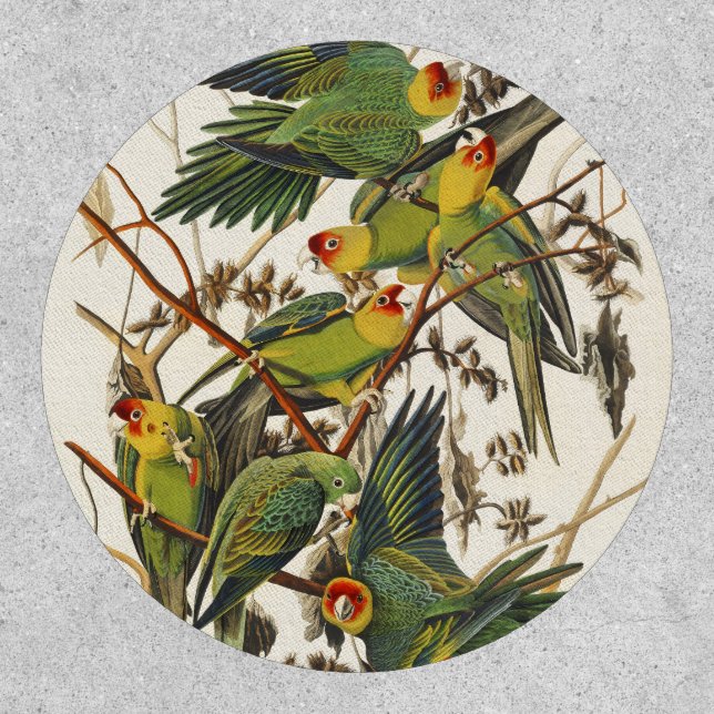 Vintage Audubon Carolina Parakeet Bird Art Patch (Front)