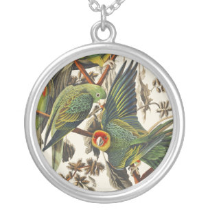 Vintage Audubon Carolina Parakeet Bird Art Silver Plated Necklace
