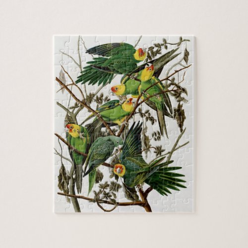 Vintage Audubon Carolina Parakeet Bird Painting Jigsaw Puzzle