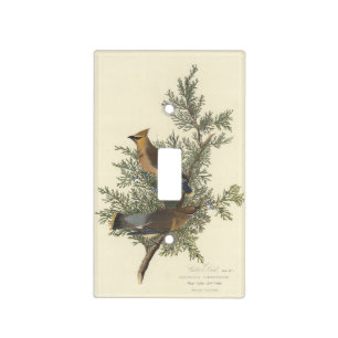 Vintage Audubon Cedar Waxwing Bird Nature Art Light Switch Cover