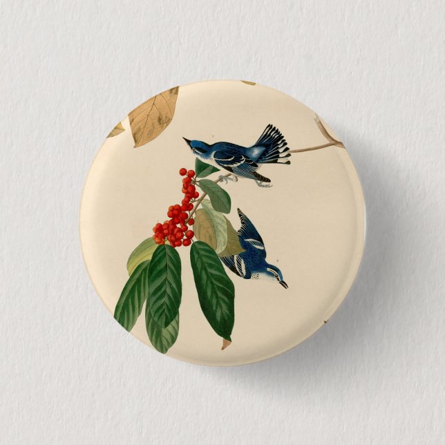 Vintage Audubon Cerulean Warbler Bird Painting Button (Front)