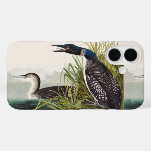 Vintage Audubon Common Loon Bird Nature Art iPhone 16 Case