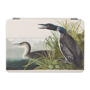 Vintage Audubon Common Loon Bird Nature Art iPad Mini Cover