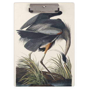 Vintage Audubon Great Blue Heron Bird Nature Art Clipboard