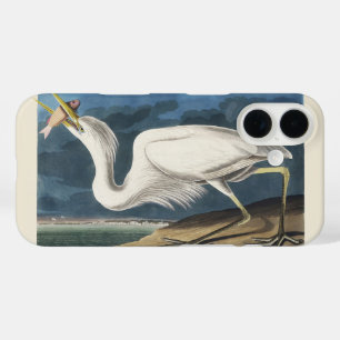 Vintage Audubon Great White Heron Bird Art iPhone 16 Case