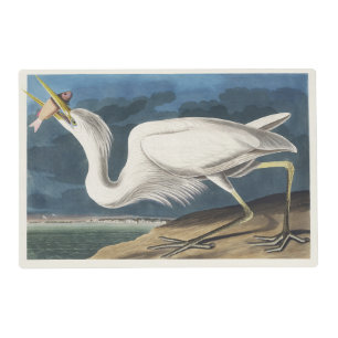 Vintage Audubon Great White Heron Bird Art Placemat