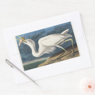 Vintage Audubon Great White Heron Bird Art Rectangular Sticker