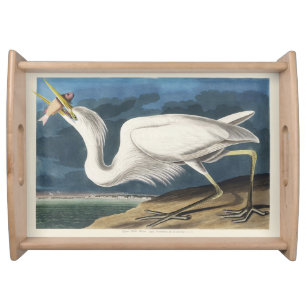 Vintage Audubon Great White Heron Bird Art Serving Tray