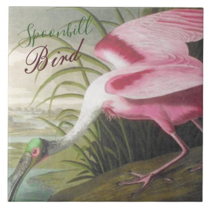 Vintage Audubon Illustration Spoonbill Bird Ceramic Tile