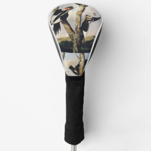 Vintage Audubon Ivory Billed Woodpecker Art Golf Head Cover