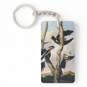 Vintage Audubon Ivory Billed Woodpecker Art Keychain