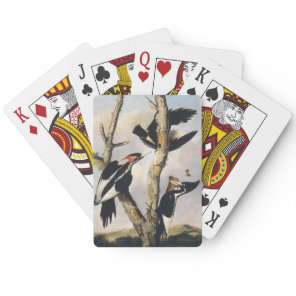Vintage Audubon Ivory Billed Woodpecker Art Poker Cards