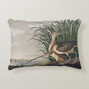 Vintage Audubon Long-billed Curlew Bird Art Accent Pillow