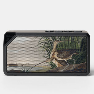Vintage Audubon Long-billed Curlew Bird Art Bluetooth Speaker