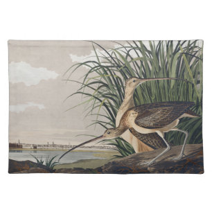 Vintage Audubon Long-billed Curlew Bird Art Cloth Placemat