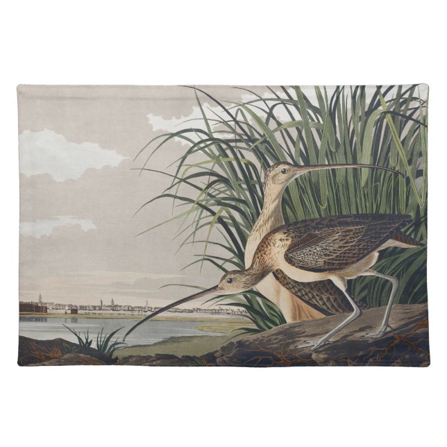 Vintage Audubon Long-billed Curlew Bird Art Cloth Placemat (Front)