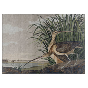 Vintage Audubon Long-billed Curlew Bird Art Cutting Board