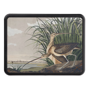 Vintage Audubon Long-billed Curlew Bird Art Hitch Cover