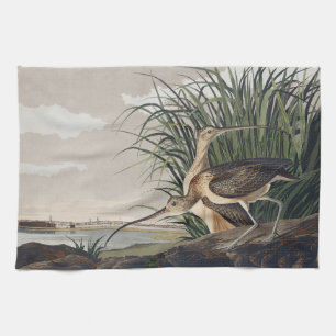 Vintage Audubon Long-billed Curlew Bird Art Kitchen Towel