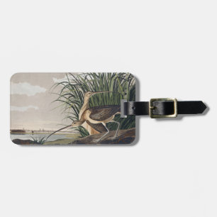 Vintage Audubon Long-billed Curlew Bird Art Luggage Tag