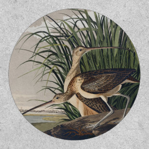 Vintage Audubon Long-billed Curlew Bird Art Patch