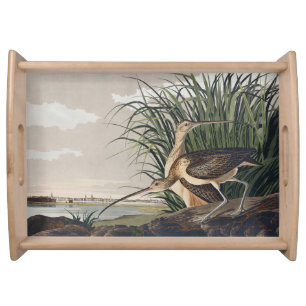 Vintage Audubon Long-billed Curlew Bird Art Serving Tray