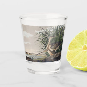 Vintage Audubon Long-billed Curlew Bird Art Shot Glass