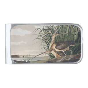 Vintage Audubon Long-billed Curlew Bird Art Silver Finish Money Clip