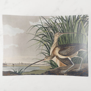 Vintage Audubon Long-billed Curlew Bird Art Trinket Tray