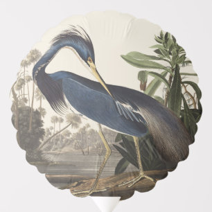 Vintage Audubon Louisiana Heron Bird Art Balloon