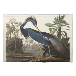 Vintage Audubon Louisiana Heron Bird Art Cloth Placemat