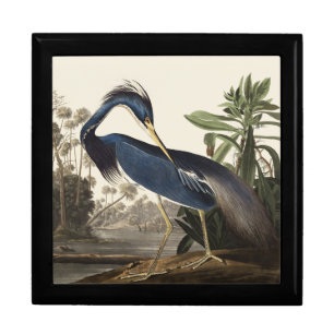 Vintage Audubon Louisiana Heron Bird Art Gift Box