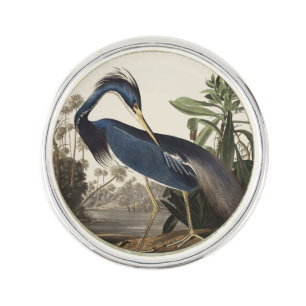 Vintage Audubon Louisiana Heron Bird Art Lapel Pin