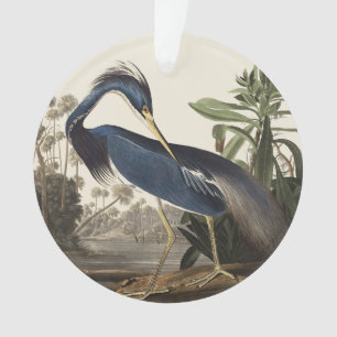 Vintage Audubon Louisiana Heron Bird Art Ornament