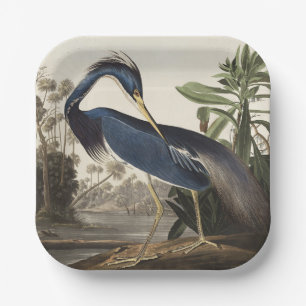 Vintage Audubon Louisiana Heron Bird Art Paper Plates