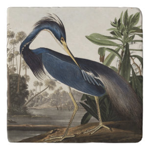 Vintage Audubon Louisiana Heron Bird Art Trivet