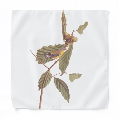 Vintage Audubon Magnolia Warbler Bird Bandana